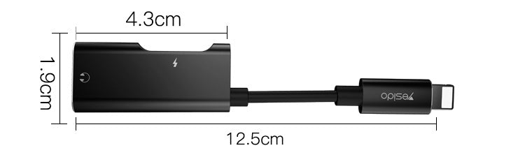 Yesido YAU11 2-in-1 Lightning & 3.5mm Audio Adapter